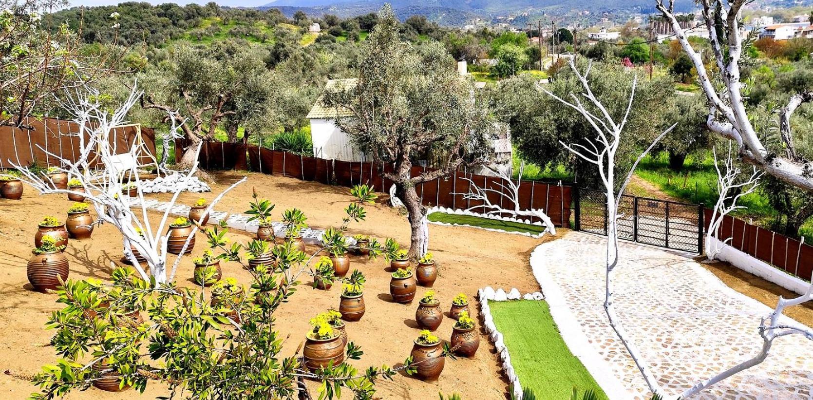 Cozy House With Amazing View! Appartement Loutra Edipsou  Buitenkant foto